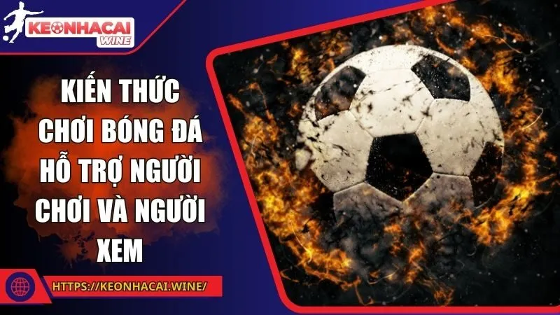 Kiến thức chơi bóng đá hỗ trợ người chơi và người xem
