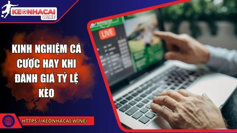 Kinh nghiệm cá cược hay khi đánh giá tỷ lệ kèo